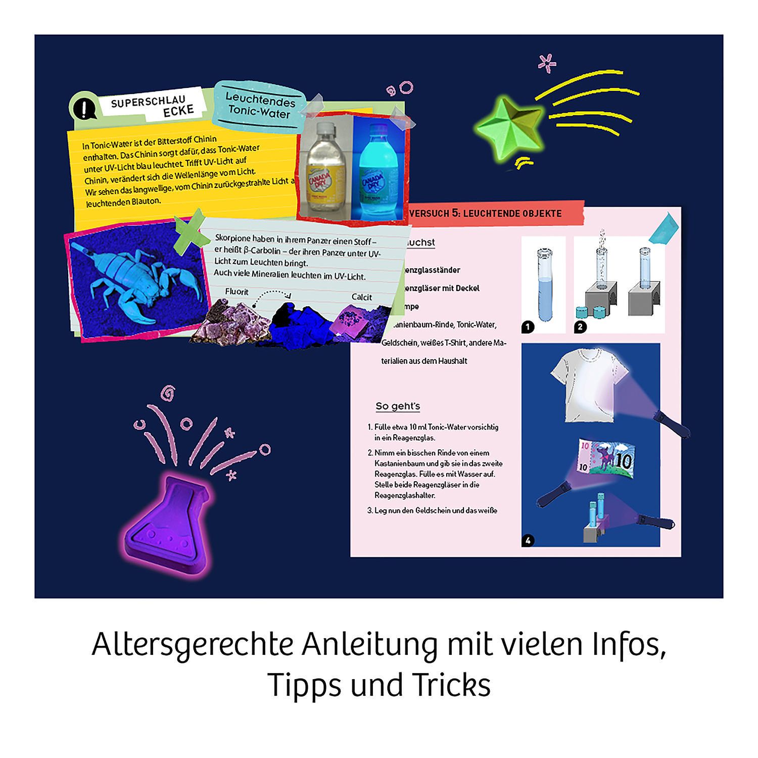 Ein farbenfrohes Lehrplakat mit Bildern und Text.