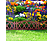 GARDEN OF EDEN 11474B Virágágyás szegély / kerítés, 60 x 24 cm, terrakotta