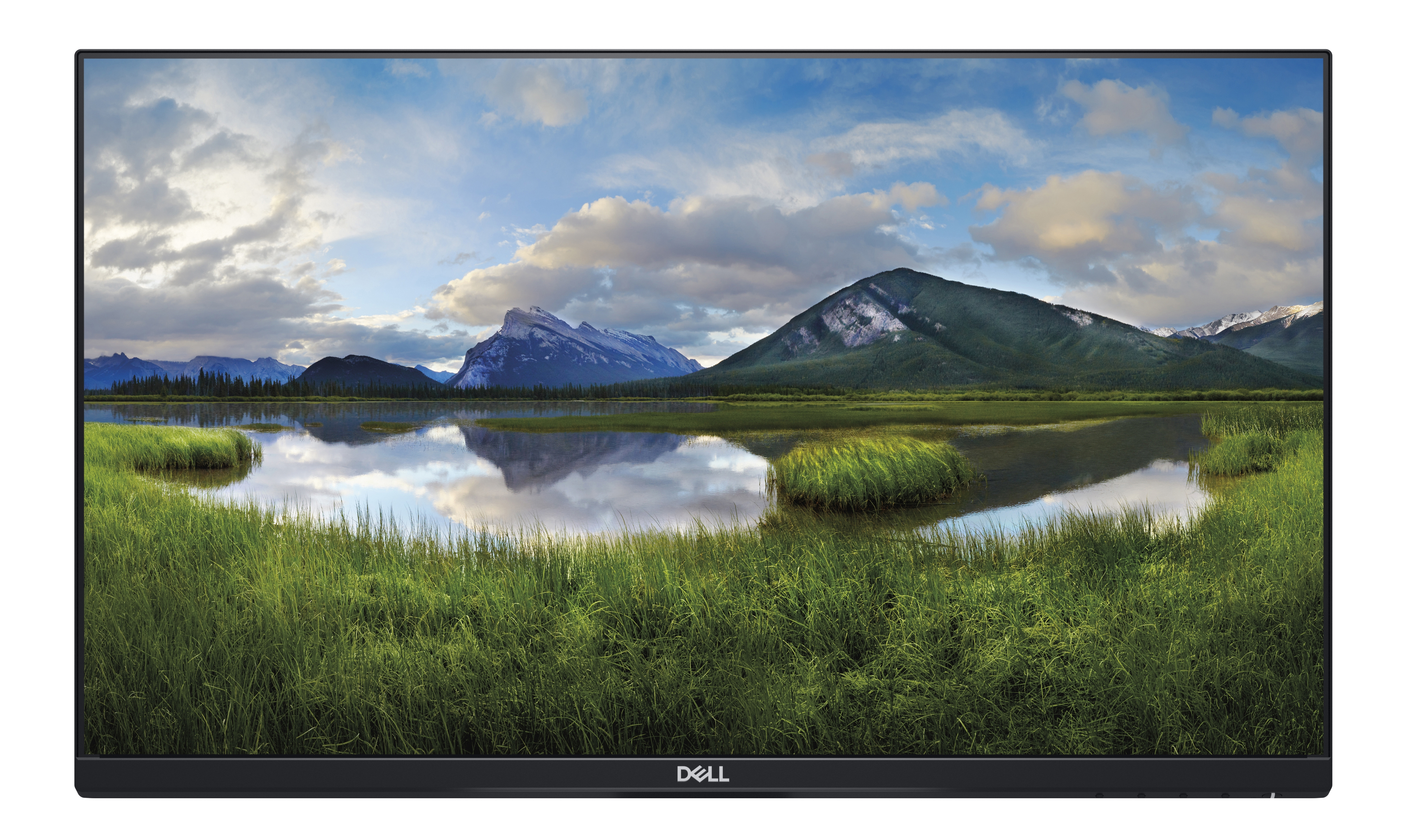 DELL - B2B P2419HC_WOST 24 Zoll  Full-HD  Monitor  8 ms Reaktionszeit  