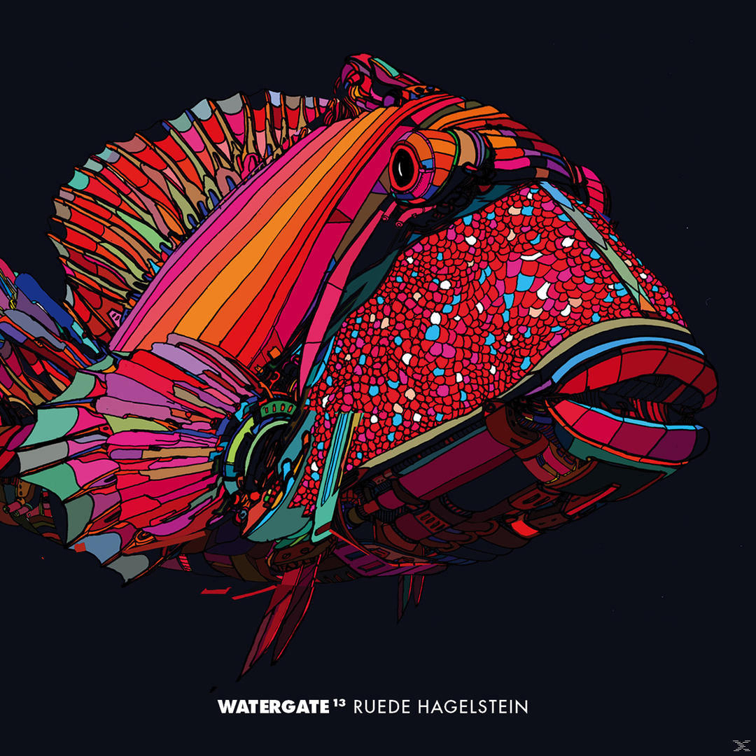 VARIOUS - Watergate 13 - Ruede Hagelstein  - (CD)