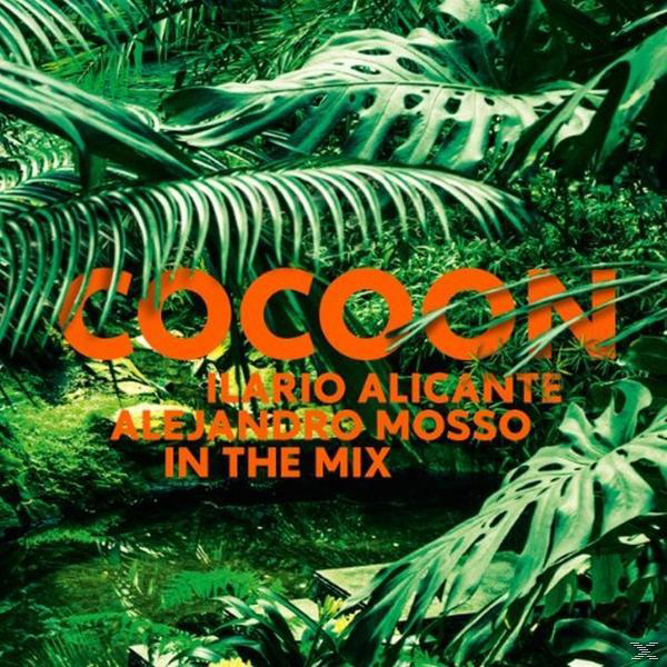 Cocoon-Albumcover, oranger Text in Dschungelszene.