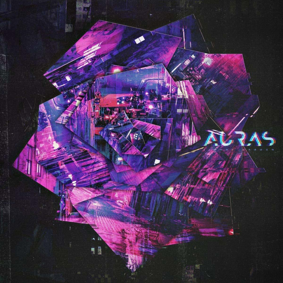 Auras - Binary Garden  - (Vinyl)