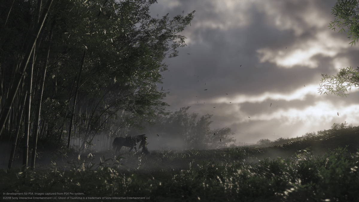 Eine Szene aus einem Videospiel mit einem Pfad durch Bambus- und Grasflächen. Wolkenhimmel.