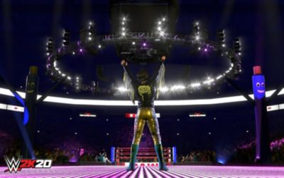 TAKE 2 WWE2K20 Standart Edition PS4 Oyun
