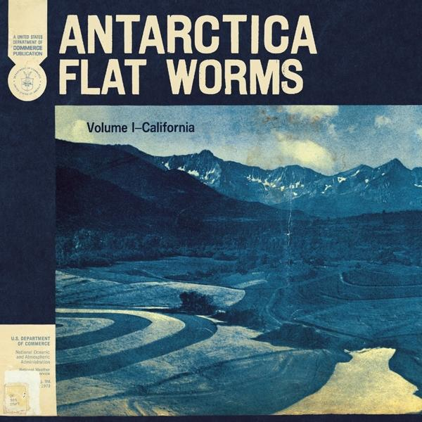 Flat (Vinyl) Antarctica Worms - -