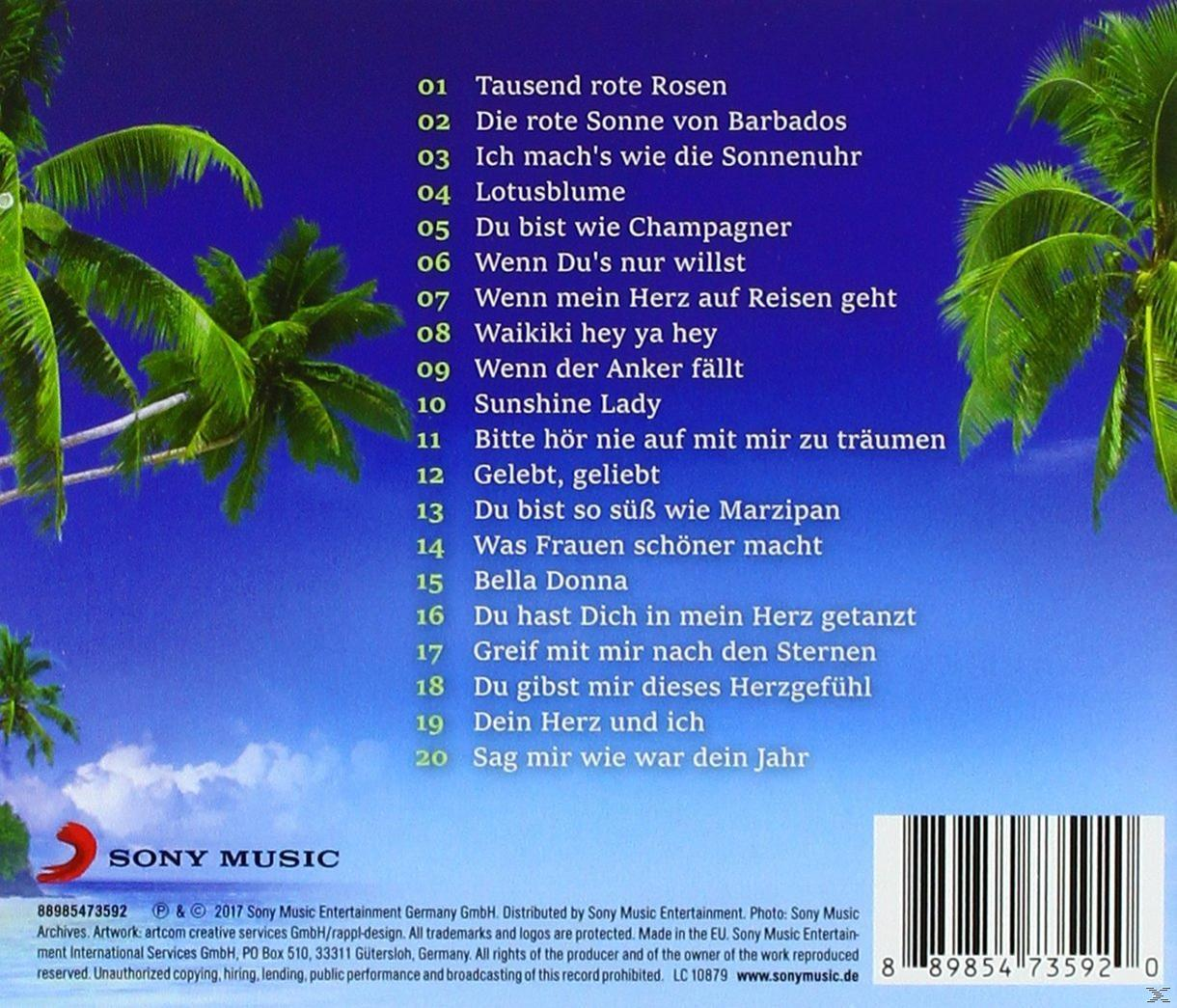 Ein gedrucktes Albumcover mit Songtiteln und einem Palmen-Design.