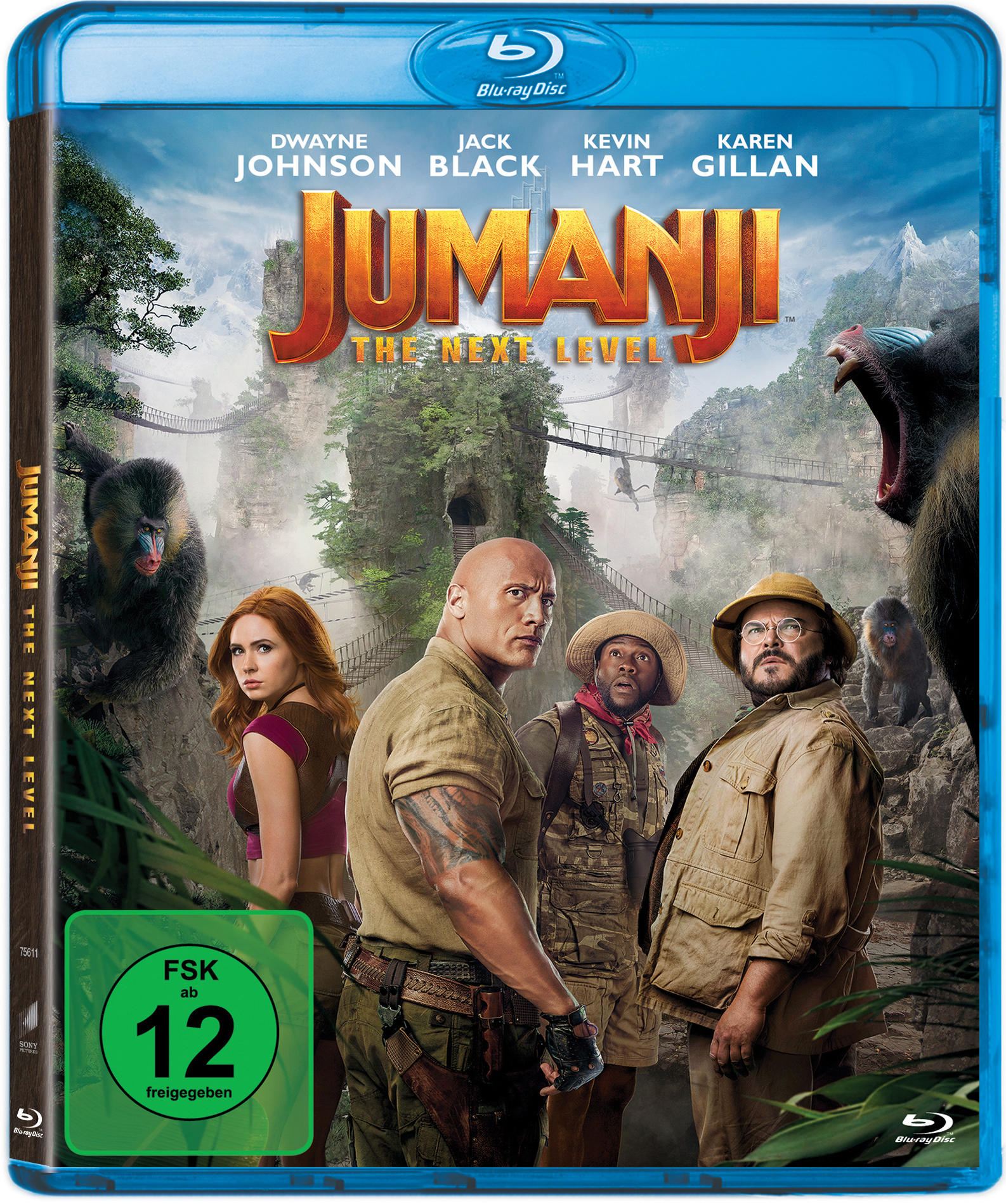 DVD-Cover des Films Jumanji: The Next Level mit Dwayne Johnson und anderen.