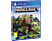 Minecraft Bedrock Edition (PlayStation 4)
