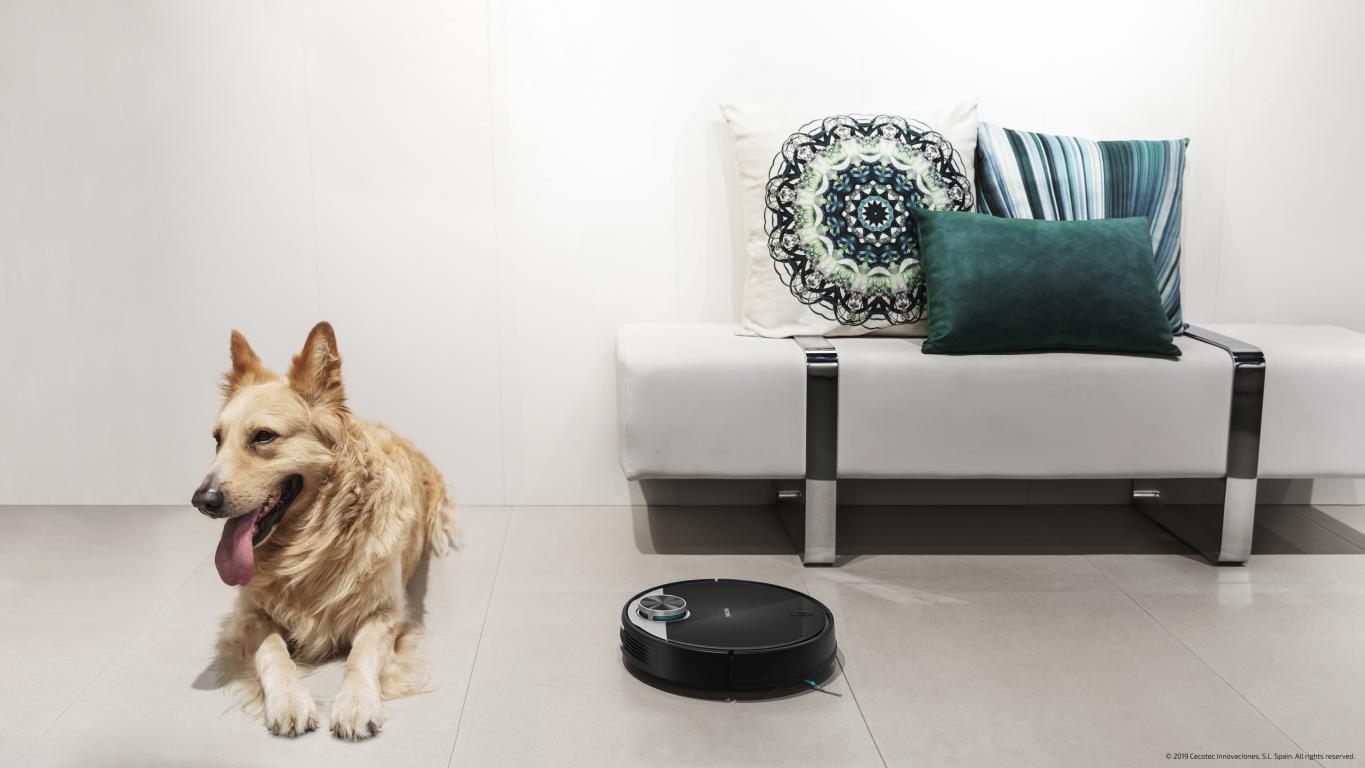 Un perro yace junto a una aspiradora robot negra. Un sofá blanco con almohadas en el fondo.
