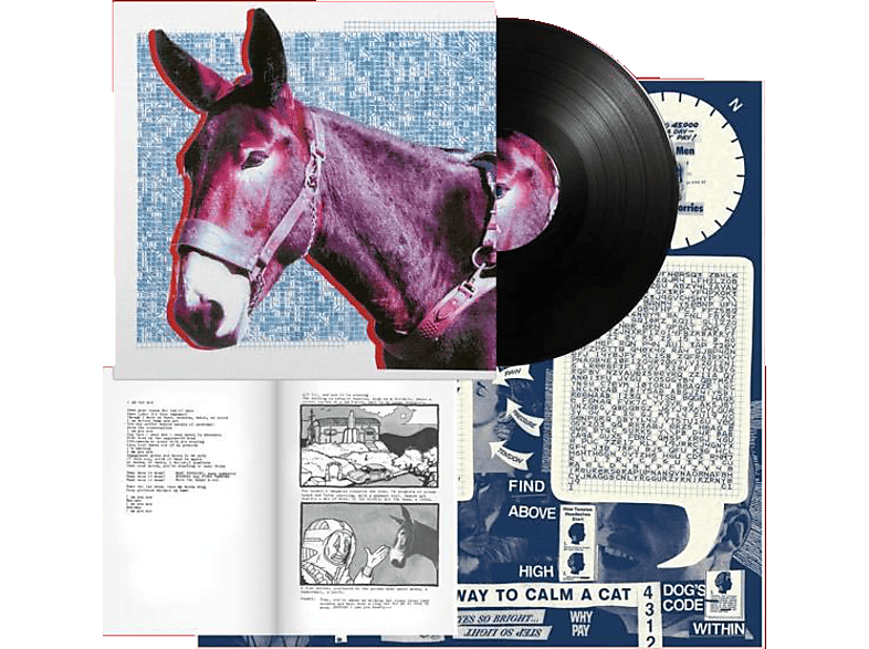 Protomartyr - ULTIMATE SUCCESS TODAY (+MP3+POSTER)  - (LP + Download)