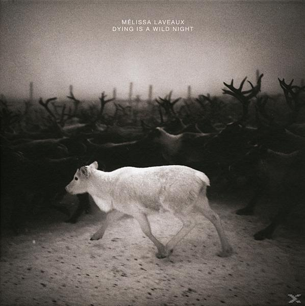 Melissa Laveaux - Dying Is A Wild Night  - (CD)