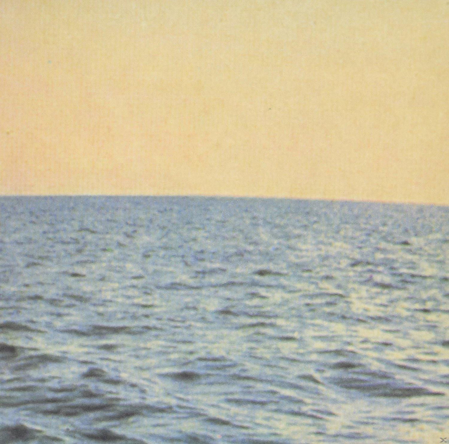 Smog - Doctor Came At Dawn  - (Vinyl)
