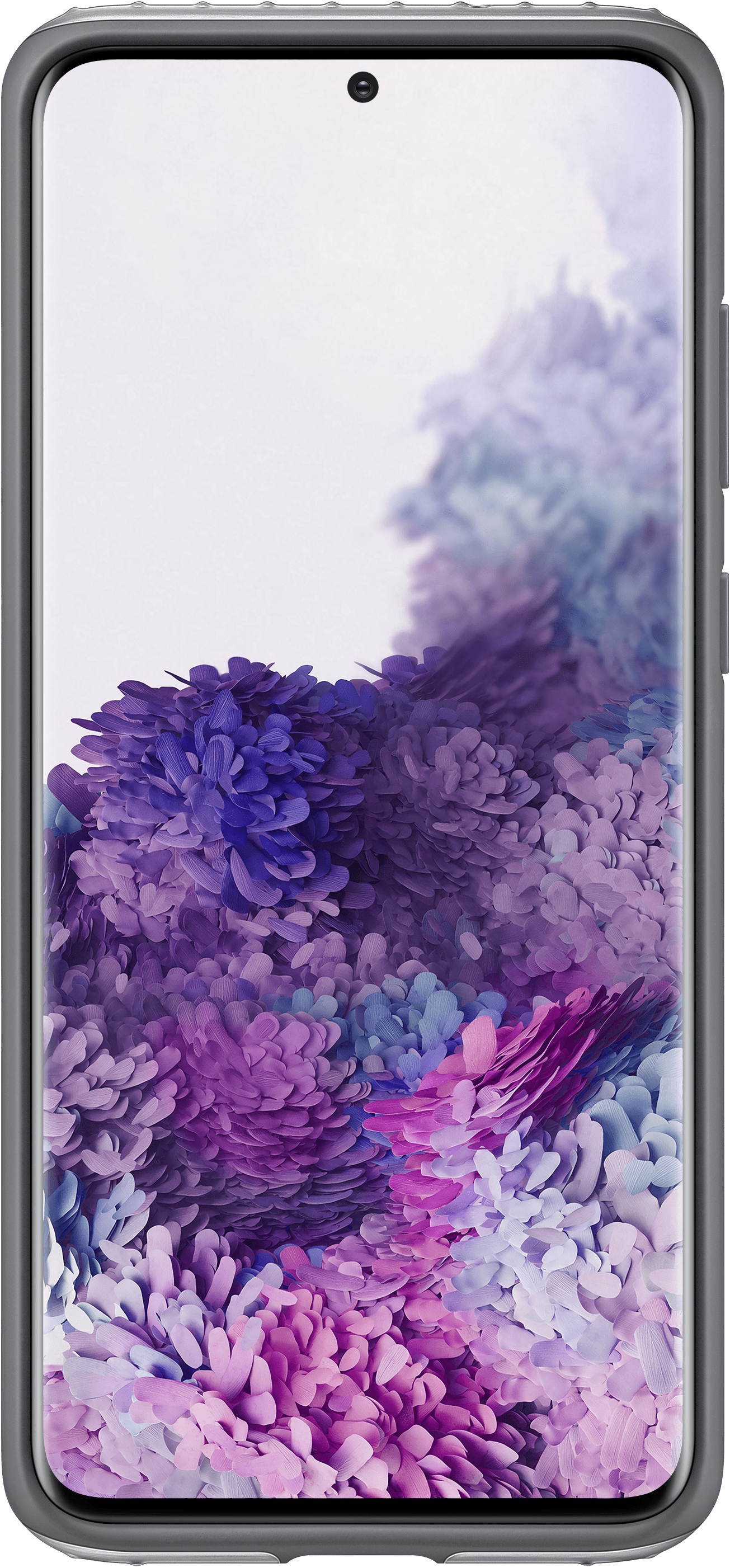 SAMSUNG Protective Stand Cover - Schutzhülle (Passend für Modell: Samsung Galaxy S20+)