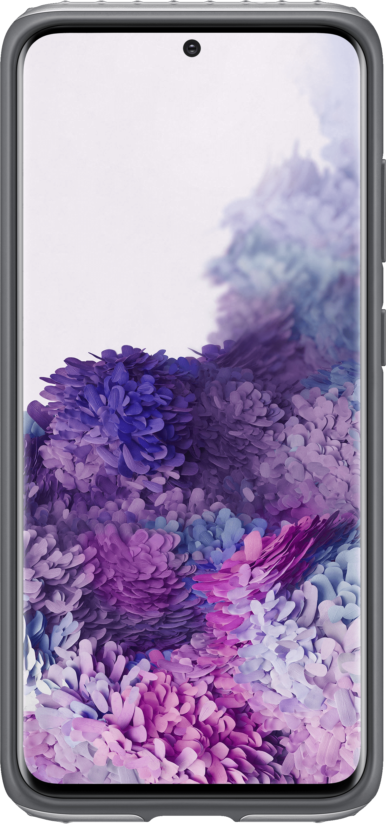 SAMSUNG Protective Stand Cover - Schutzhülle (Passend für Modell: Samsung Galaxy S20)