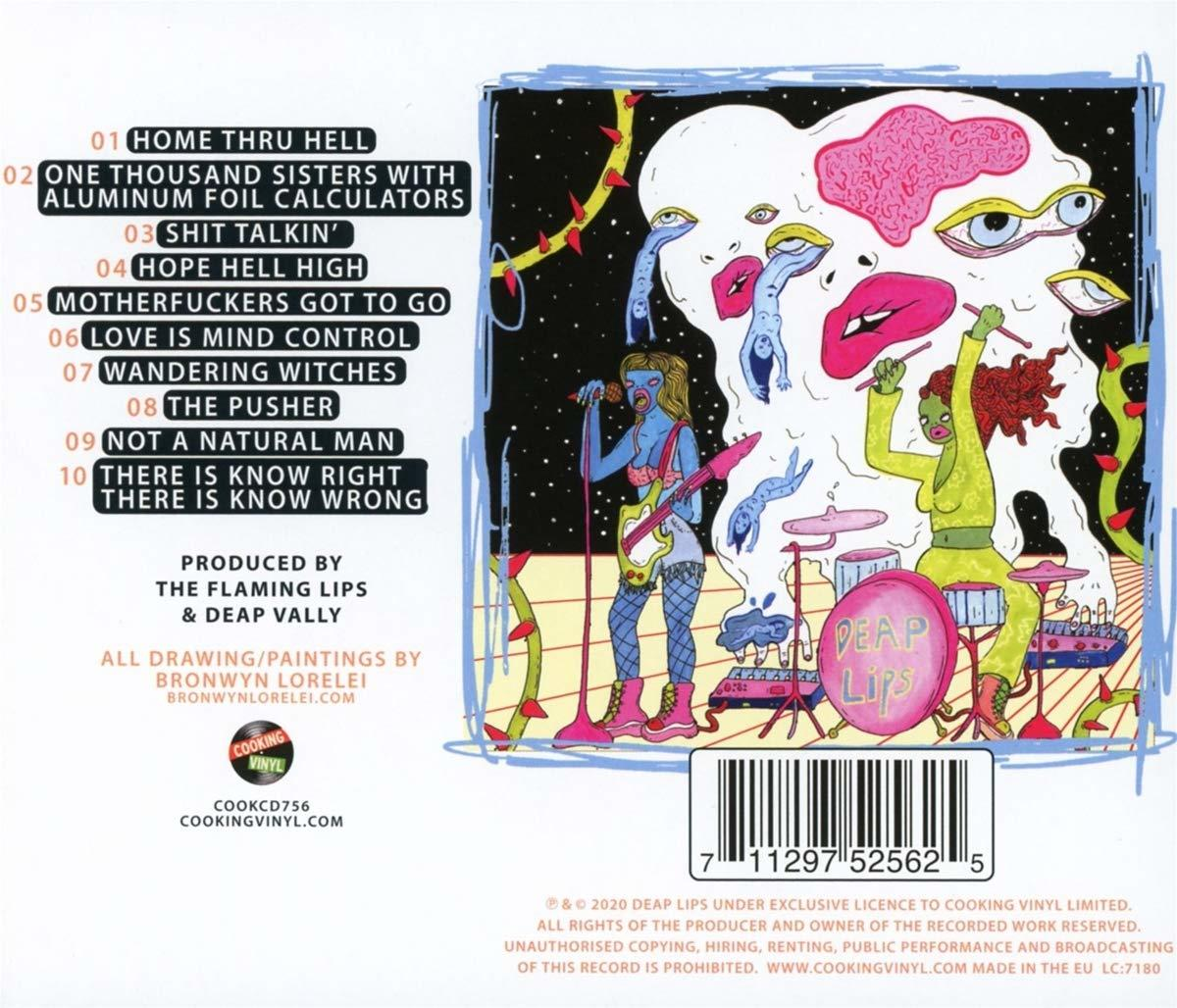 Albumcover-Kunst. Eine Band von Cartoon-Figuren spielt Instrumente. Ein großes, rosa, blobartiges Gesicht mit Augen und Mündern.
