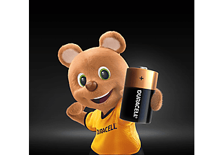 DURACELL D Boy 2'li Pil_1