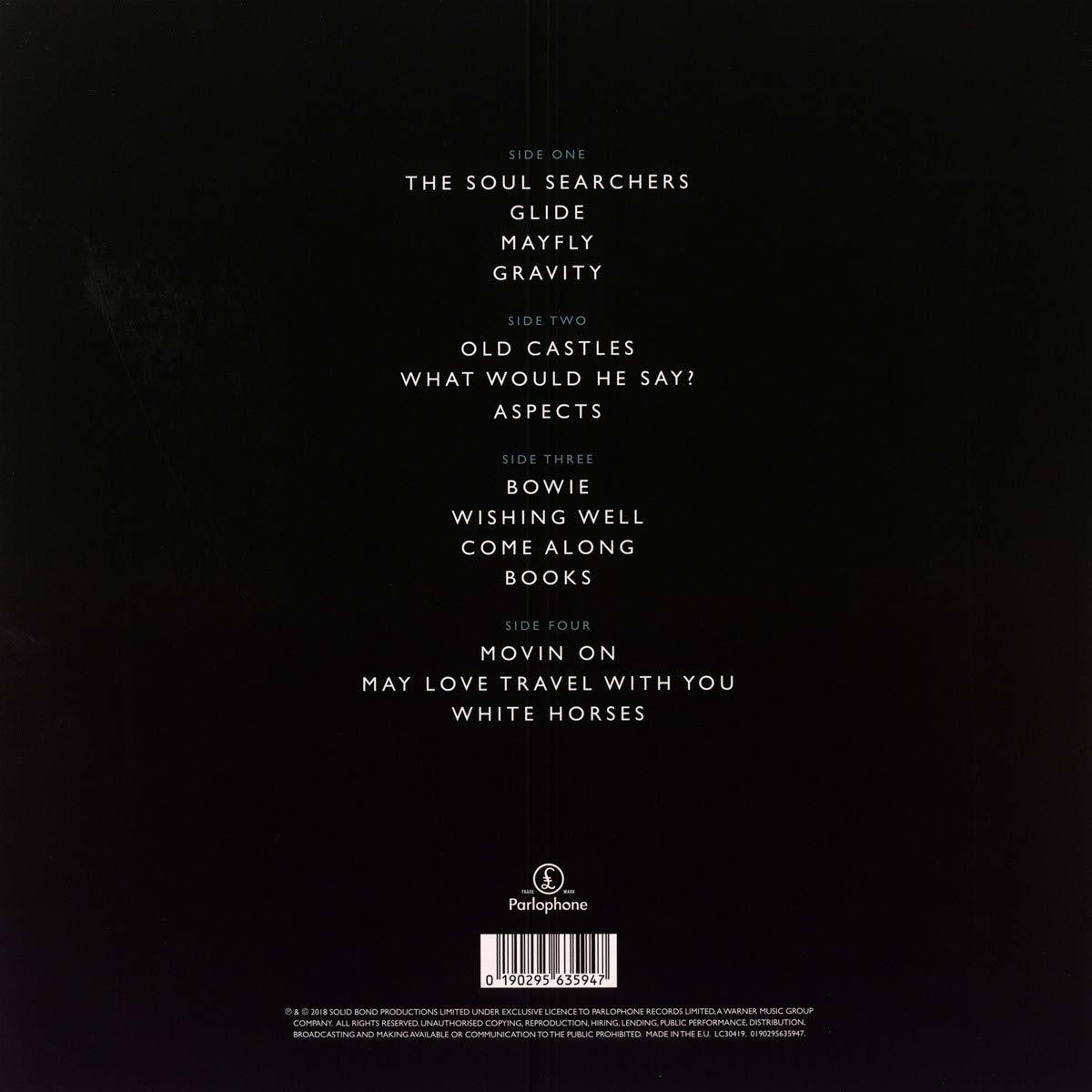 True Meanings - - (Vinyl) Weller Paul