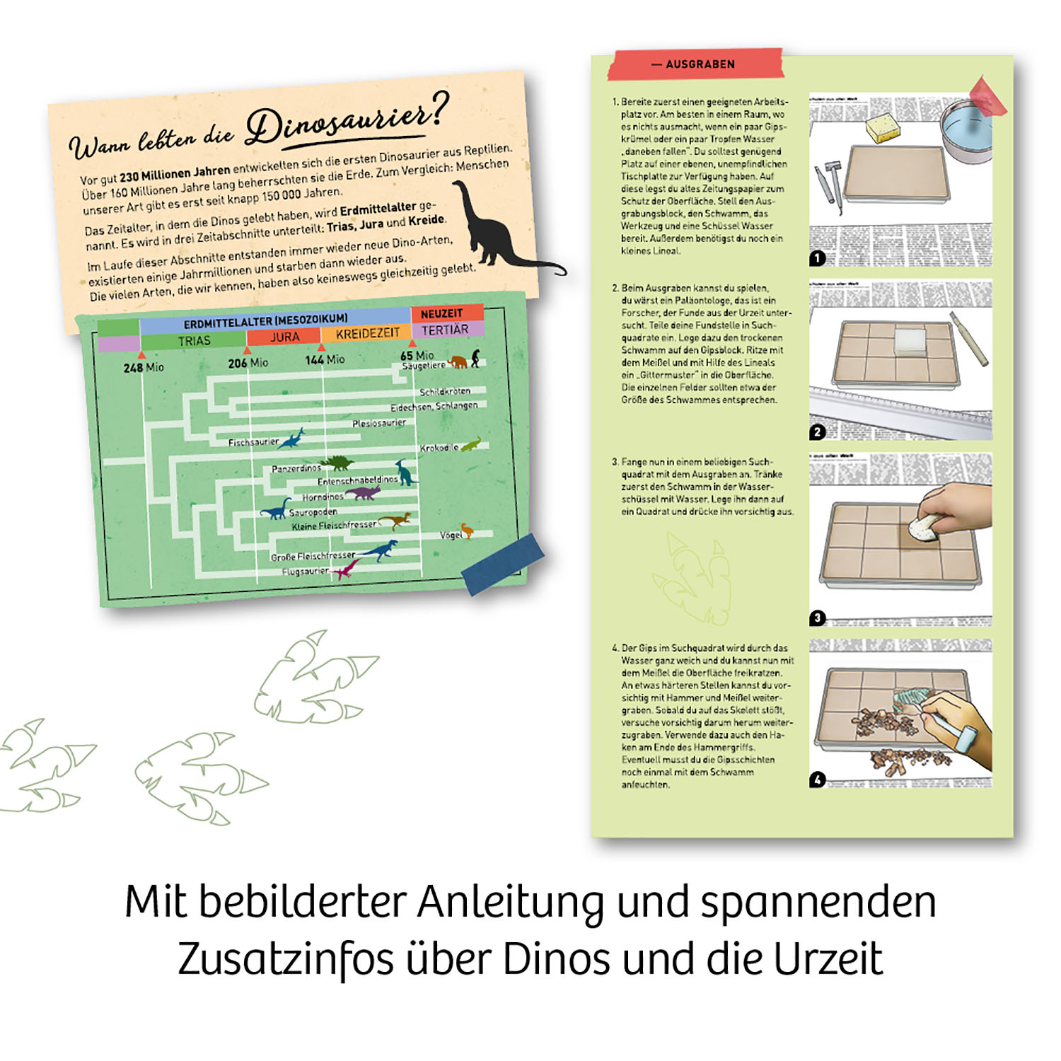 Diagramm zur Entwicklung der Dinosaurier, mit Illustrationen und Text.