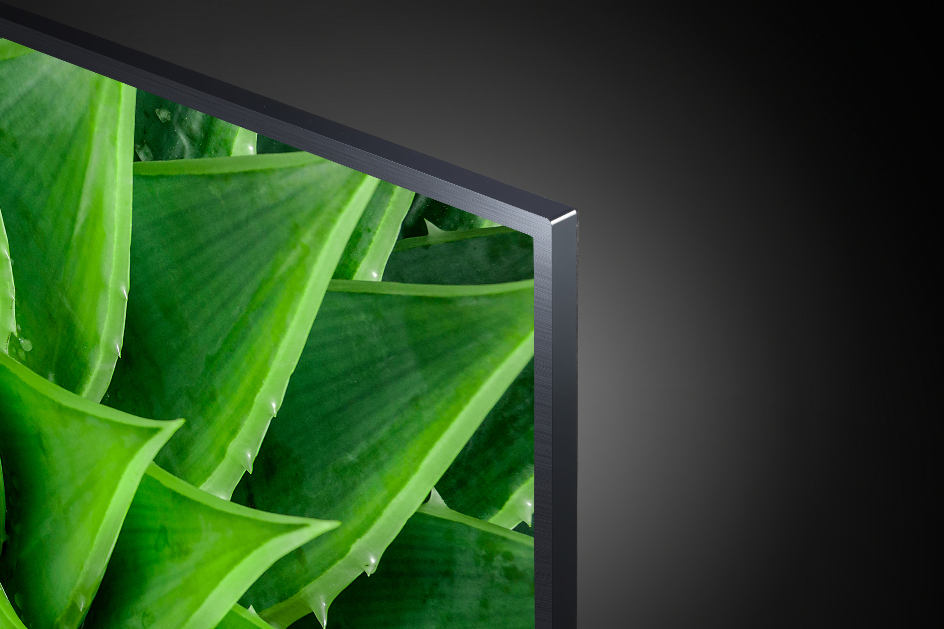 LG 55UN74007LB LCD TV (Flat, 55 Zoll / 139 cm, UHD 4K, SMART TV, webOS 5.0 (AI ThinQ))