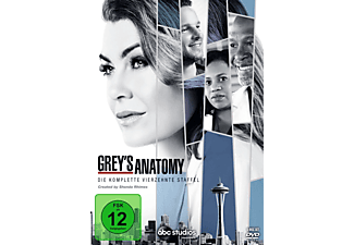 GREY S ANATOMY STAFFEL 14 DVD (Tedesco)