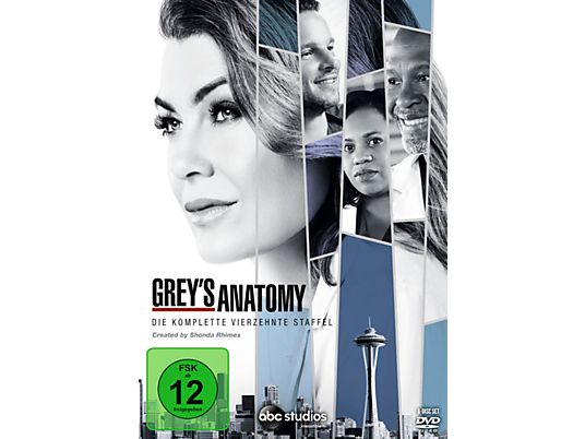 Grey's Anatomy Staffel 14 DVD (Deutsch)