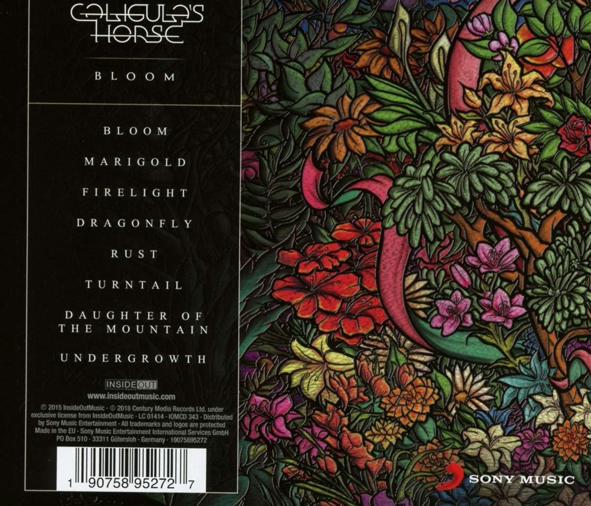 Albumcover mit Text, floralem Design und Bandnamen. Farbenfrohe Kunstwerke.