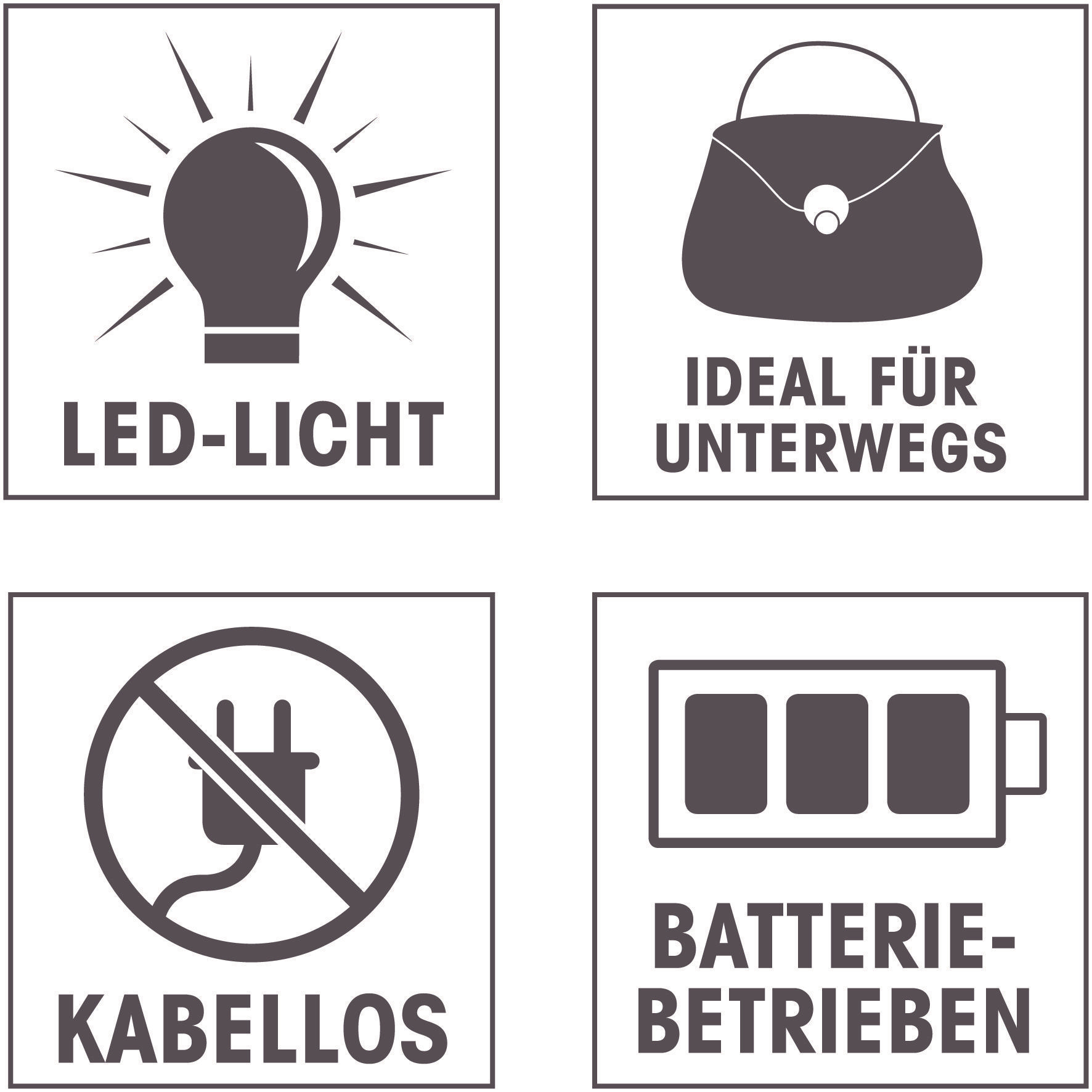 Vier Symbole: LED-Glühbirne, Handtasche mit Text 'Ideal für unterwegs', ein 'kein Stecker'-Symbol und ein Akkusymbol.
