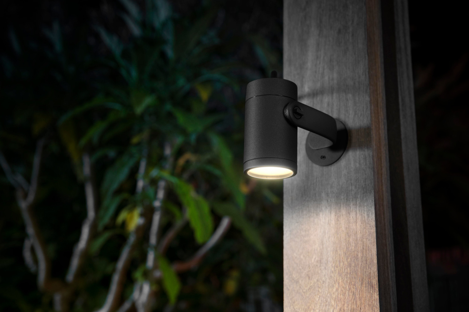 Lumière noire extérieure sur bois, éclairant vers le bas. Feuillage vert flou en arrière-plan.