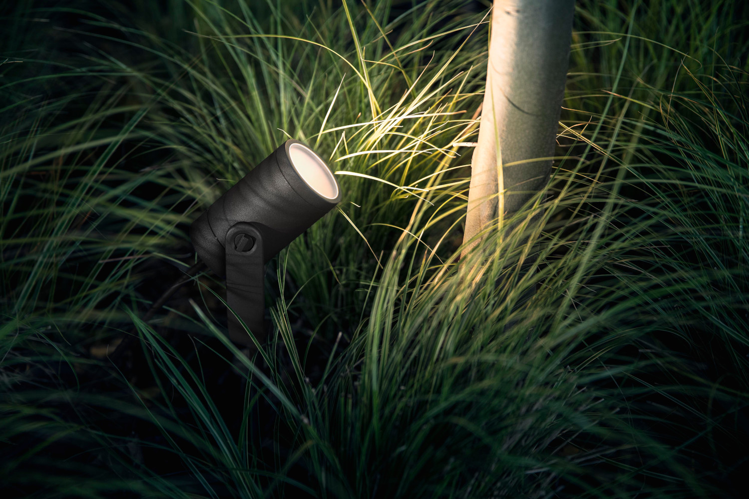 A black outdoor spotlight illuminating a plant with tall green grass.