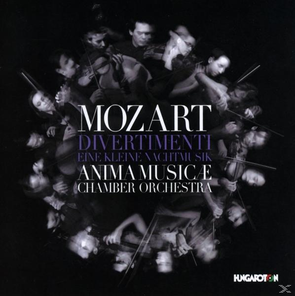 Album borító: Mozart Divertimenti. Zenészek hangszereken játszanak. Lila és fehér szöveg.