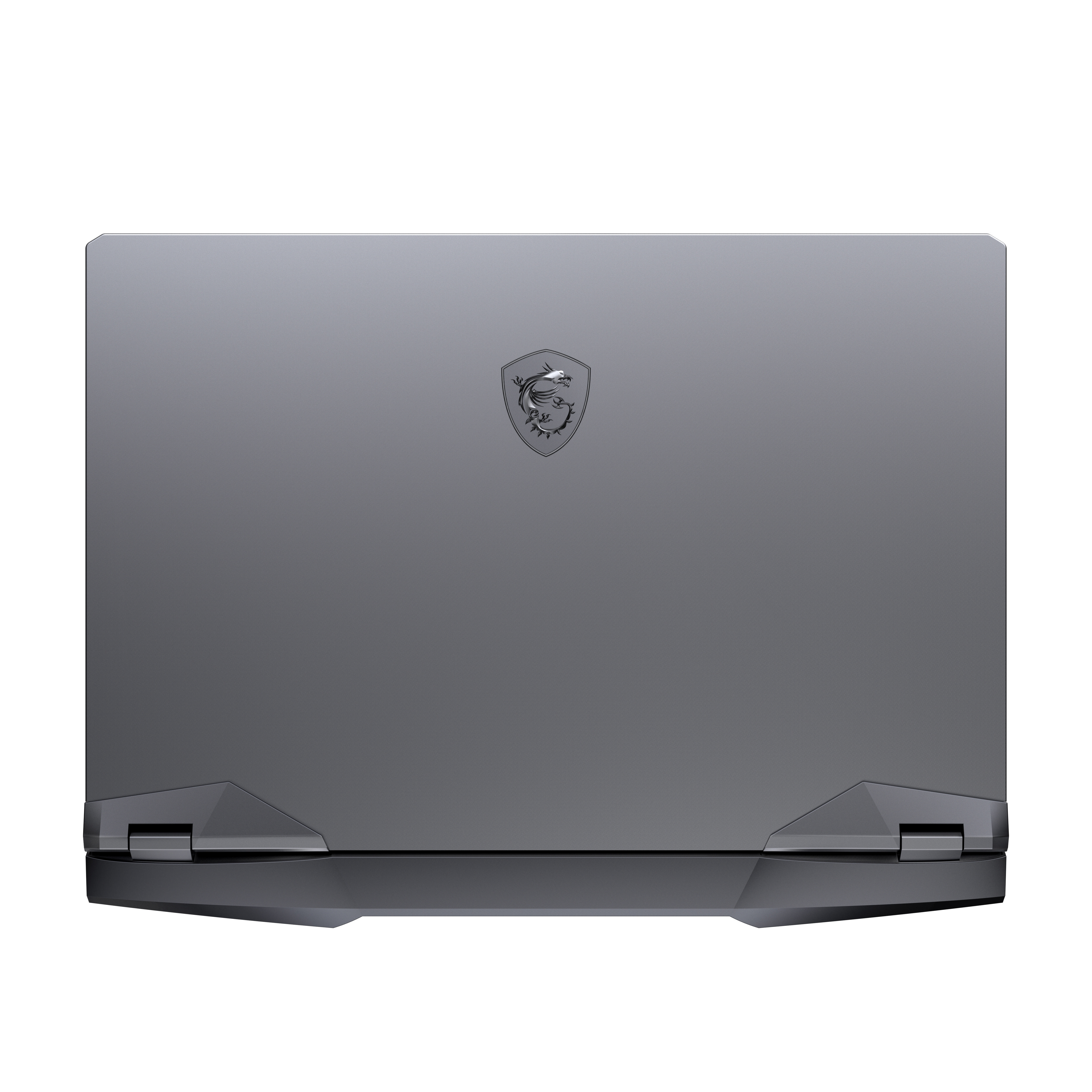 MSI GE66 10SF Raider - 15,6 Zoll - Intel® Core™ i7 i7-10750H - 16 GB - 1 TB - NVIDIA GeForce RTX™ 2070 - Windows 10 Home (64 Bit)