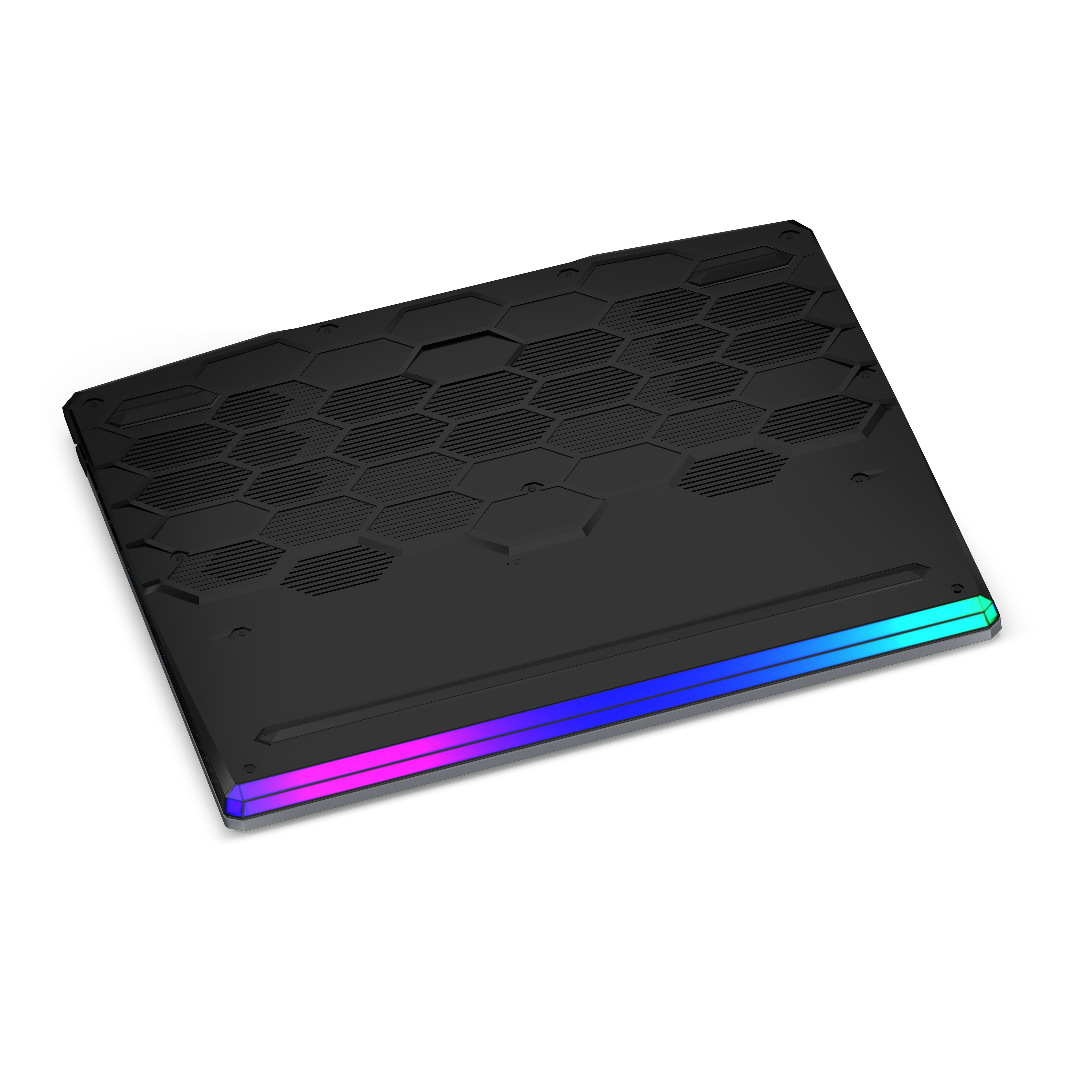 MSI GE66 10SF Raider - 15,6 Zoll - Intel® Core™ i7 i7-10750H - 16 GB - 1 TB - NVIDIA GeForce RTX™ 2070 - Windows 10 Home (64 Bit)