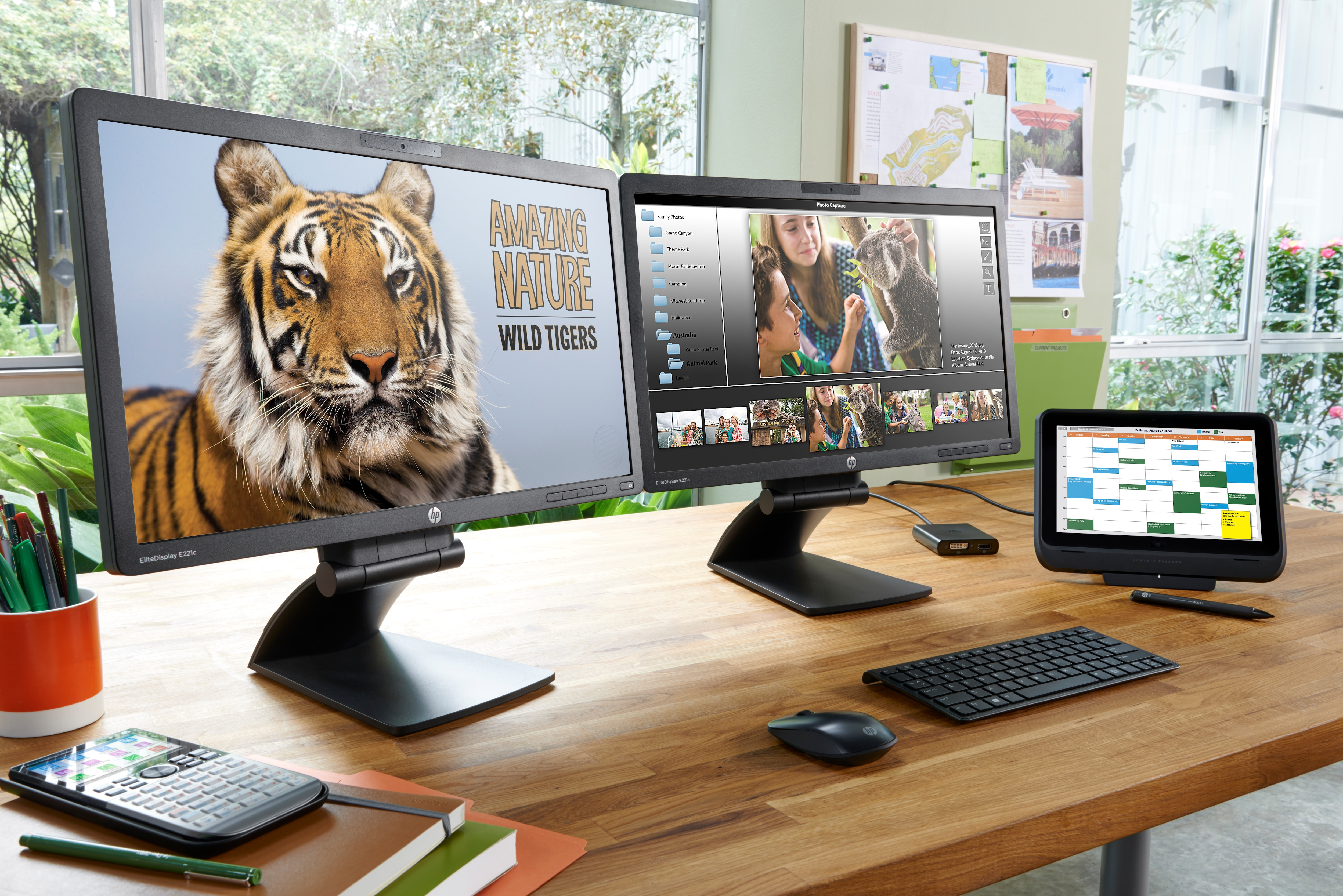 HP Z5000 Maus, Dark Ash Silver