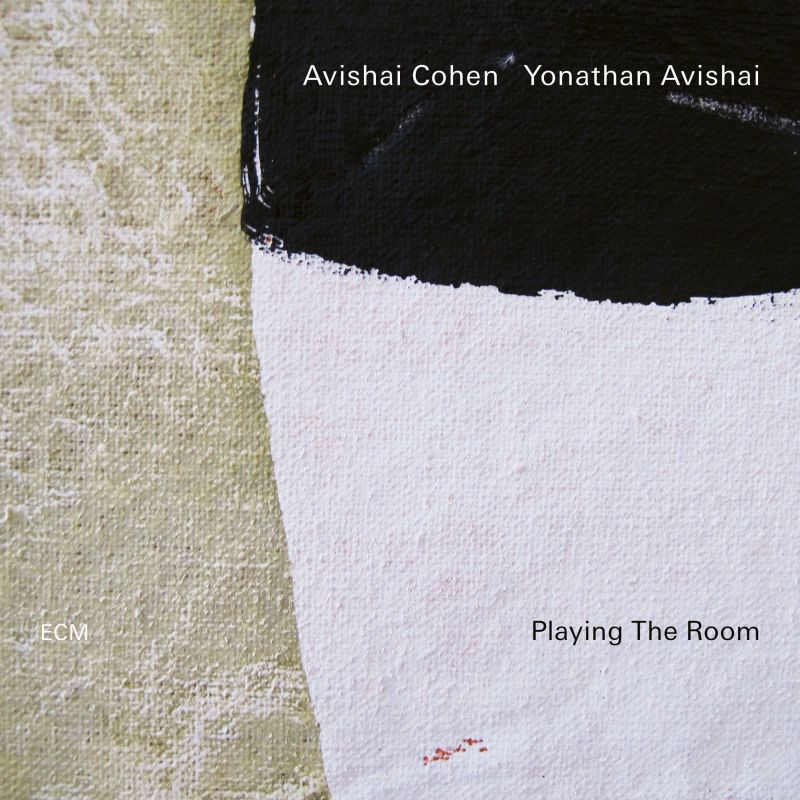 Absztrakt művészet fekete-fehér formákkal. A szöveg ezt írja: 'Avishai Cohen Yonathan Avishai' és 'Playing The Room'.