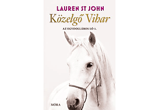 Lauren St John - Közelgő Vihar - Az egydolláros ló 1.