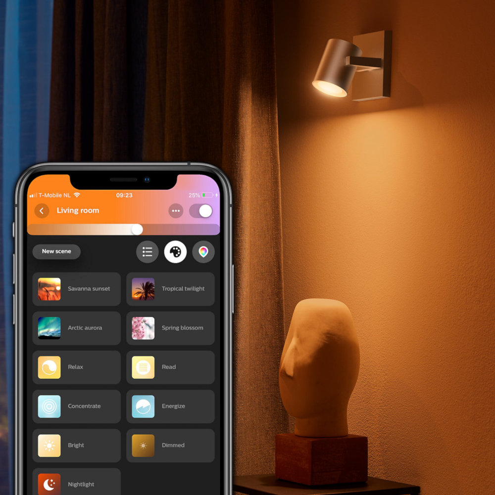 PHILIPS HUE Bluetooth Spot Argenta wit en gekleurd light (5062148P7)