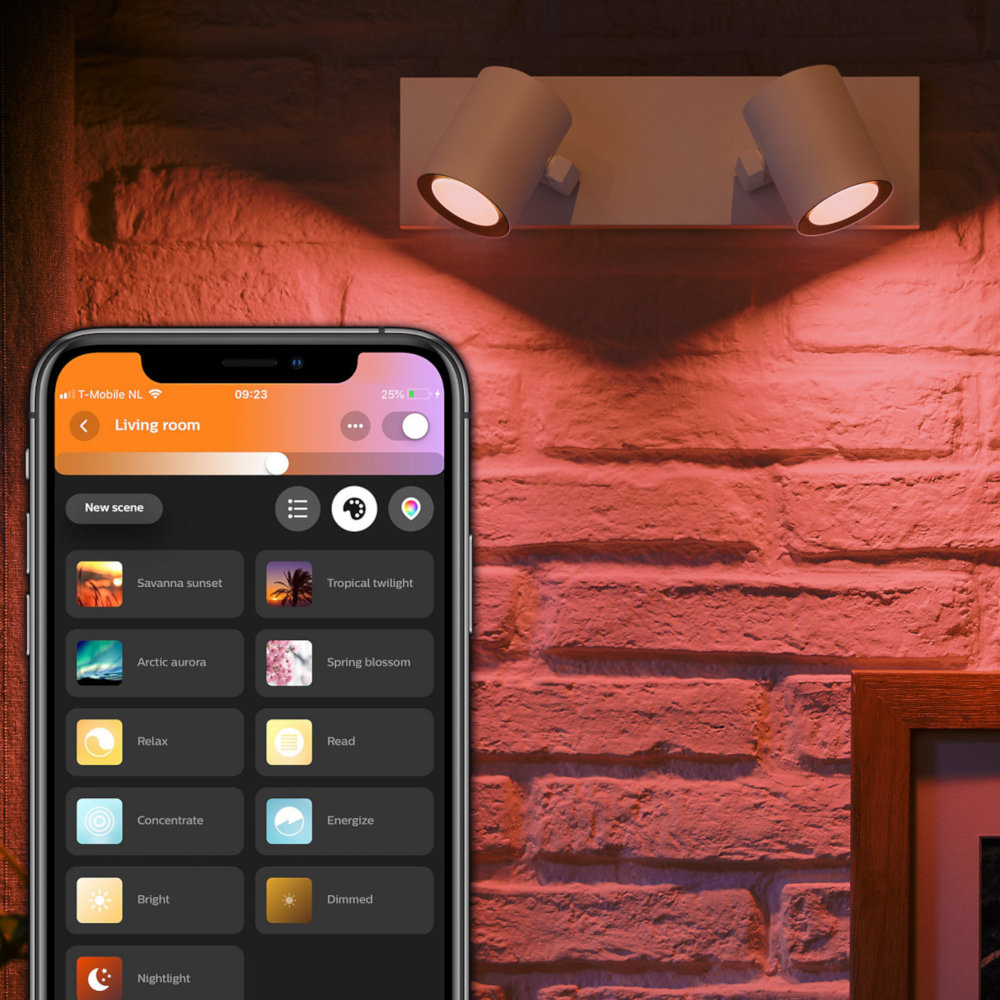 PHILIPS HUE Bluetooth Spot double Argenta wit en gekleurd light (5062231P7)