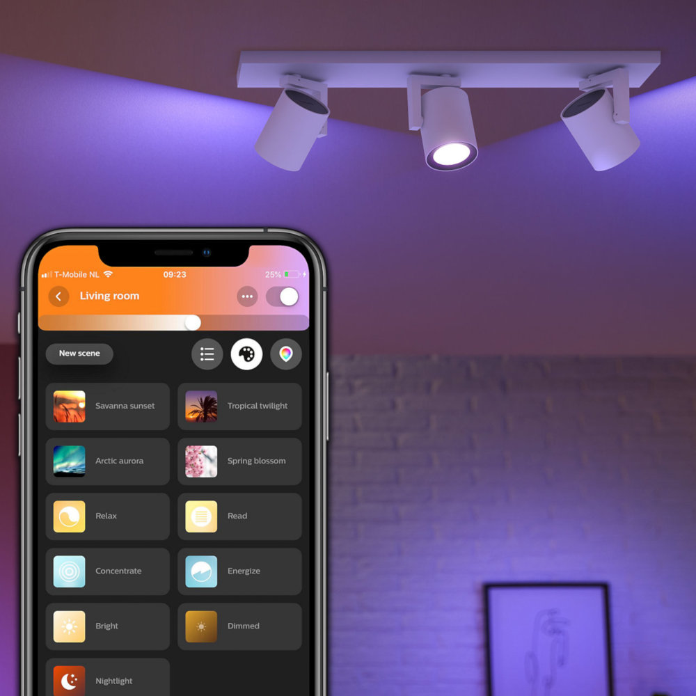 PHILIPS HUE Luminaire à 3 spots Smart Argenta RGB Blanc (5062331P7)