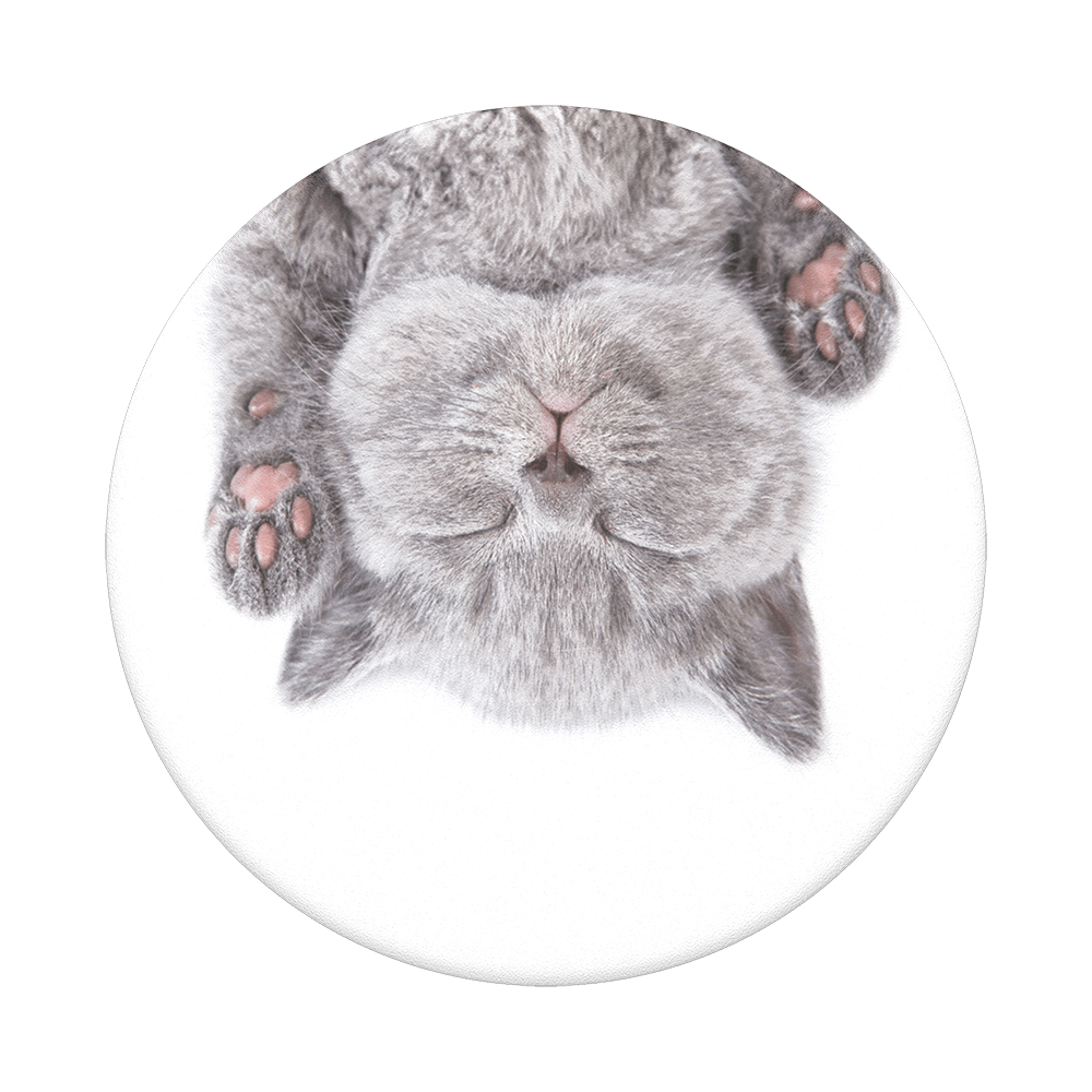 Popsockets Popgrip Soporte y agarre para tabletas con un top intercambiable cat nap adhesivo otros