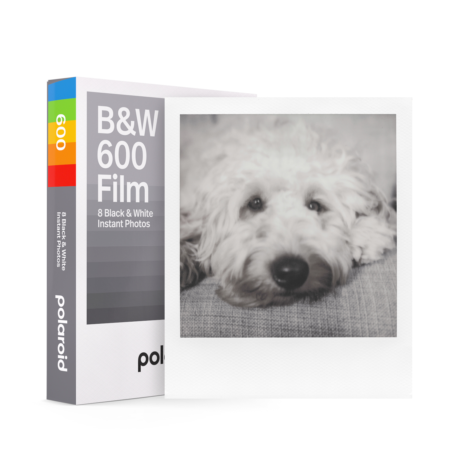 Polaroid filmpak met een zwart-witfoto van een hond.