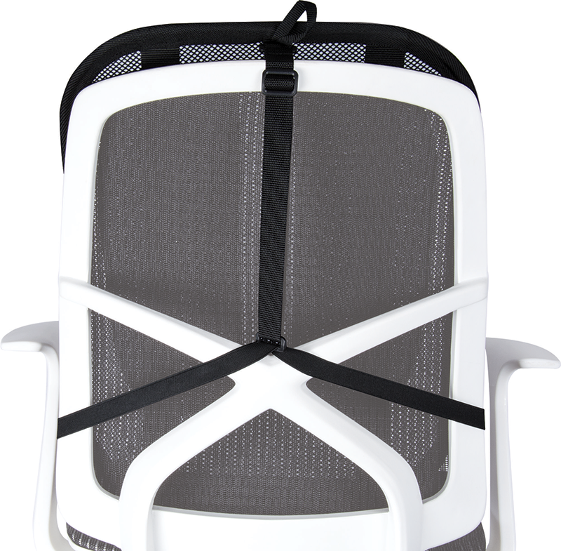 Back of a white office chair with black mesh and support straps. White background.