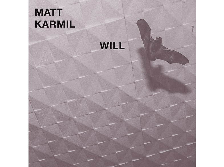 Matt Karmil - Will  - (Vinyl)