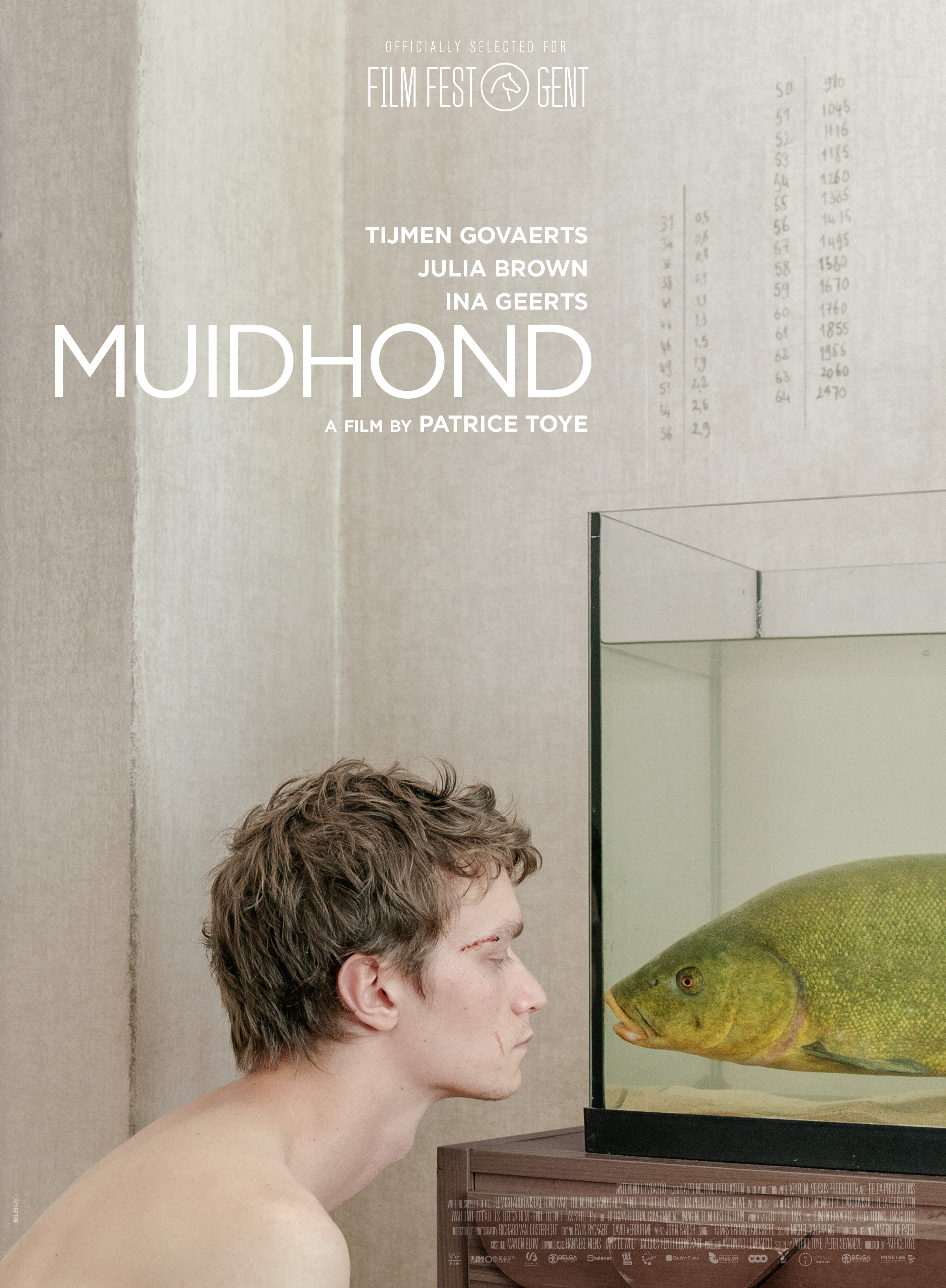 Affiche du film 'Muidhond'. Un homme regarde un poisson dans un aquarium.