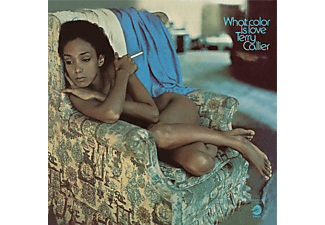 Terry Callier - What Color is Love (180 gram, Audiophile Edition) (Vinyl LP (nagylemez))