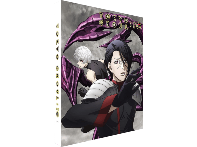 Tokyo Ghoul Re Part 2 Dvd Dvd Tv Series