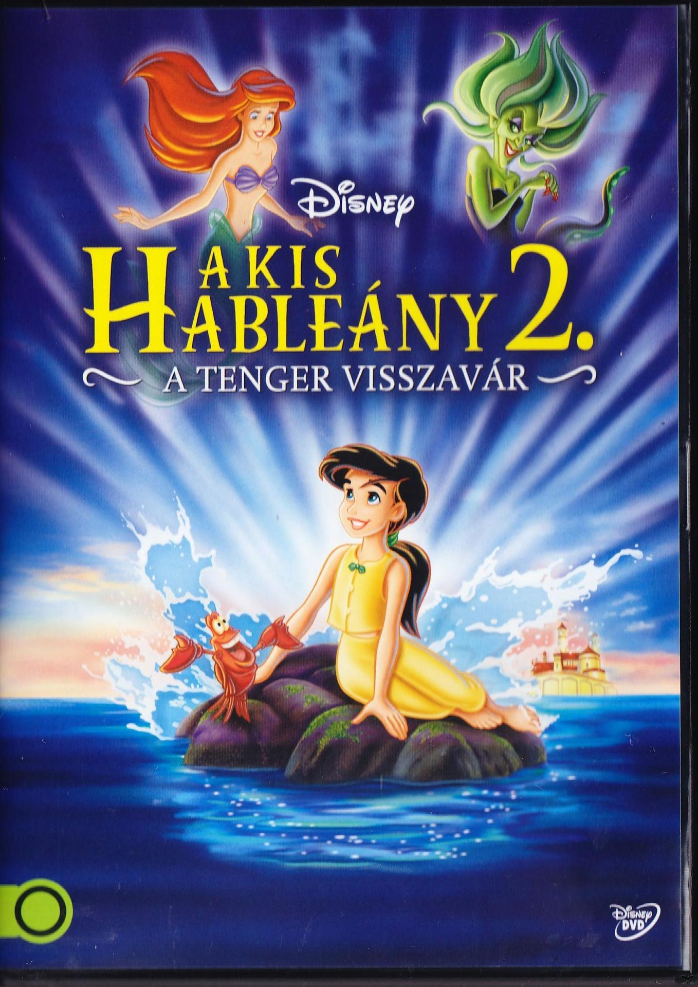 Az 'Ariel's Beginning' DVD-borítója, Ariel és Melody szereplésével. A cím sárga.