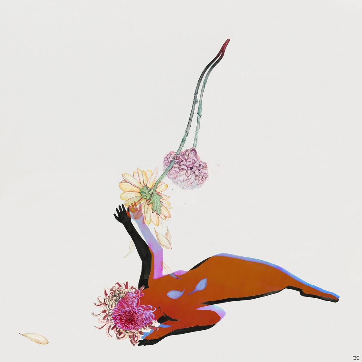 Future Islands - The Far Field  - (Vinyl)