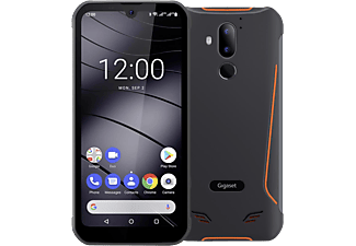 GIGASET GX290 - Smartphone (6.1 ", 32 GB, Titanium Grey)