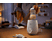 PHILIPS AVENT SCF358/02 - Scaldabiberon (Bianco)