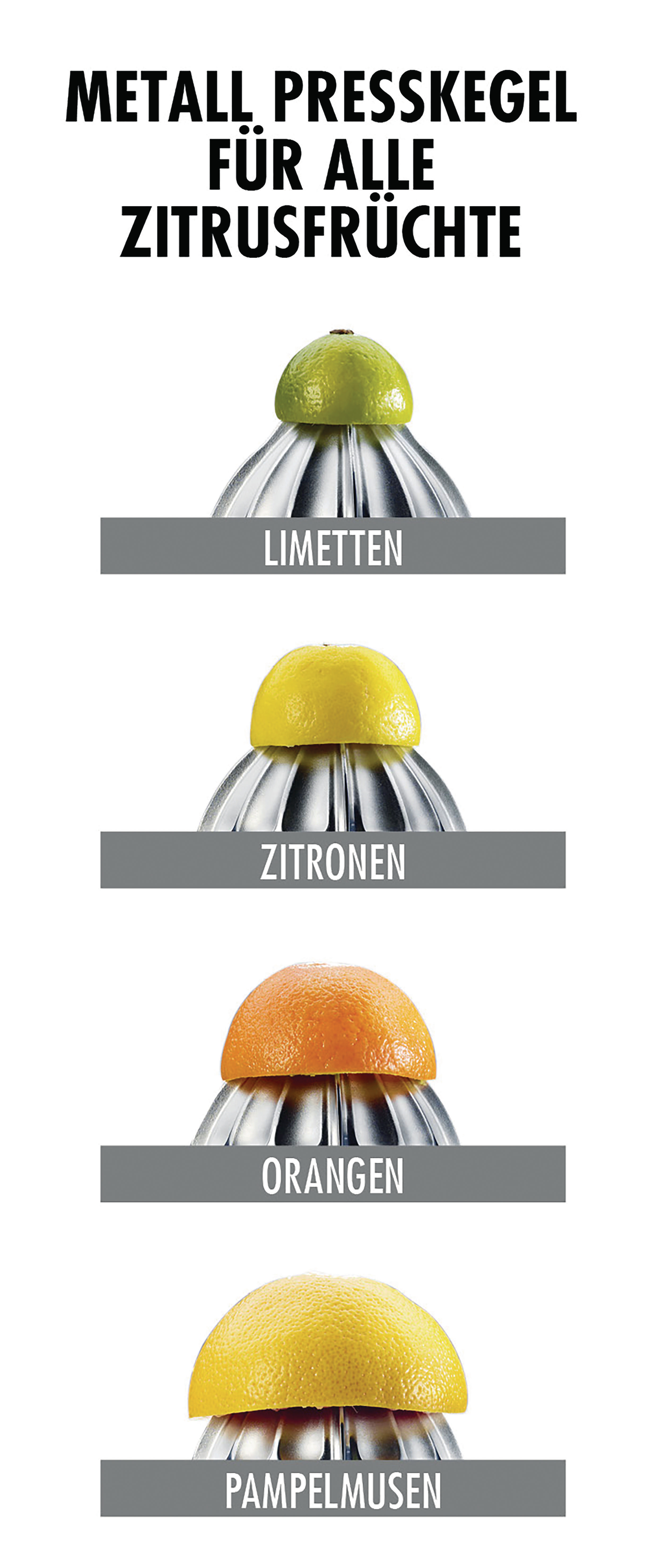 Ein Diagramm, das eine Metall-Zitruspresse mit verschiedenen Früchten zeigt. Limetten, Zitronen, Orangen und Pampelmusen.